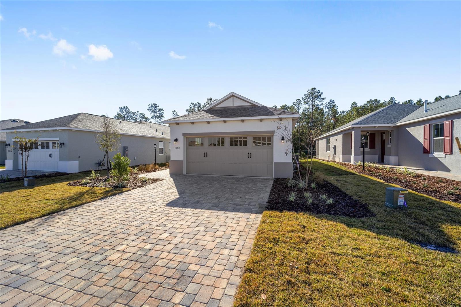 10218 SW 99TH LN, OCALA, FL, 34481