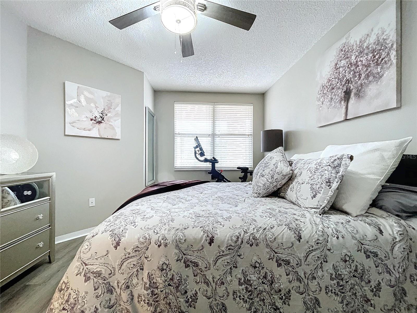6450 SHORELINE DR #9203, ST PETERSBURG, FL, 33708