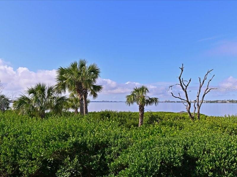 1010 TIDEWATER SHORES LOOP #103, BRADENTON, FL, 34208