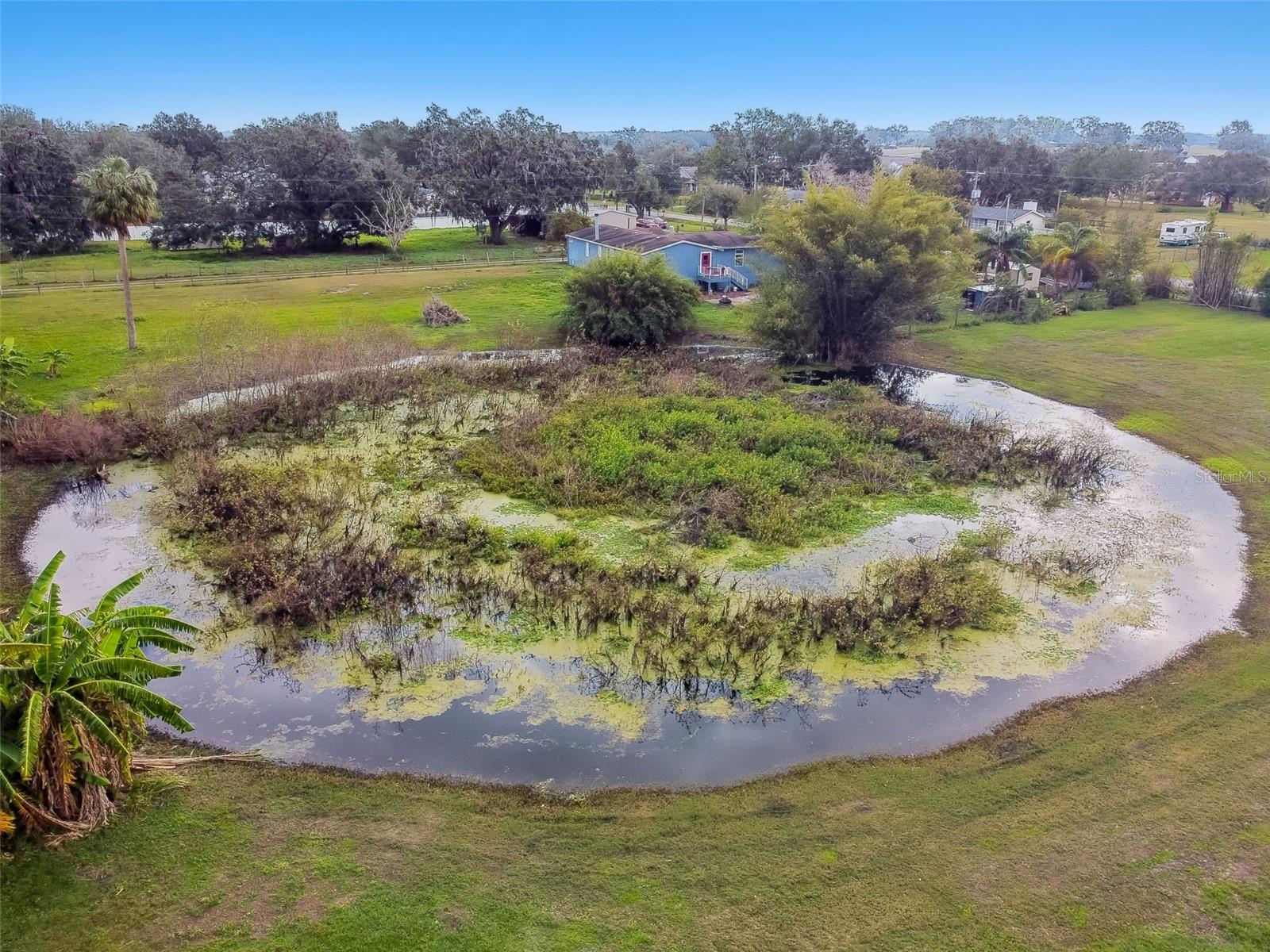 3606 N WILDER RD, PLANT CITY, FL, 33565