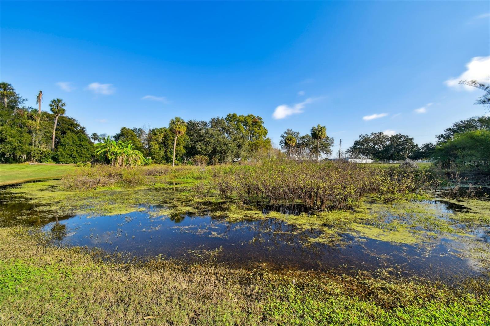 3606 N WILDER RD, PLANT CITY, FL, 33565