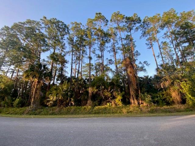 14TH, NAPLES, FL, 34117