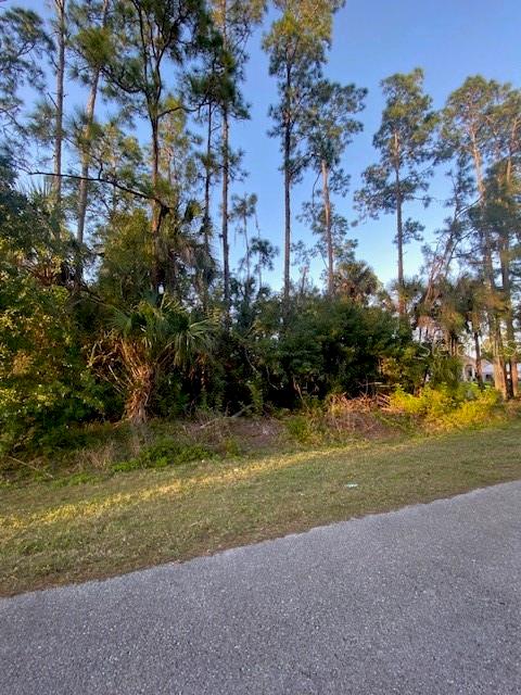 14TH, NAPLES, FL, 34117
