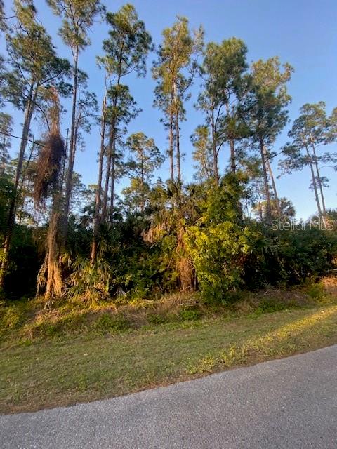 14TH, NAPLES, FL, 34117