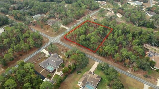 5589 N MALLOWS CIR, BEVERLY HILLS, FL, 34465