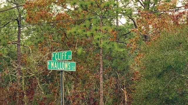 5589 N MALLOWS CIR, BEVERLY HILLS, FL, 34465