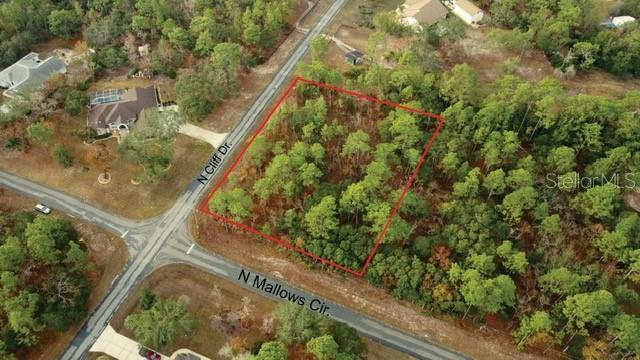 5589 N MALLOWS CIR, BEVERLY HILLS, FL, 34465