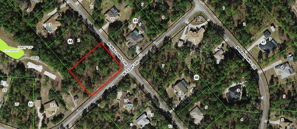 5589 N MALLOWS CIR, BEVERLY HILLS, FL, 34465