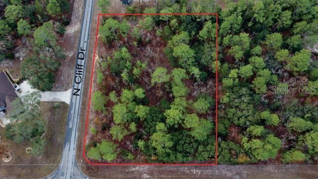 5589 N MALLOWS CIR, BEVERLY HILLS, FL, 34465
