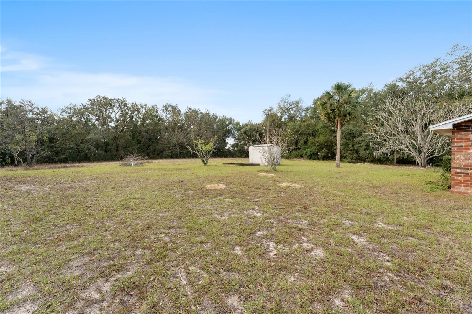 1550 MILLER BLVD, FRUITLAND PARK, FL, 34731