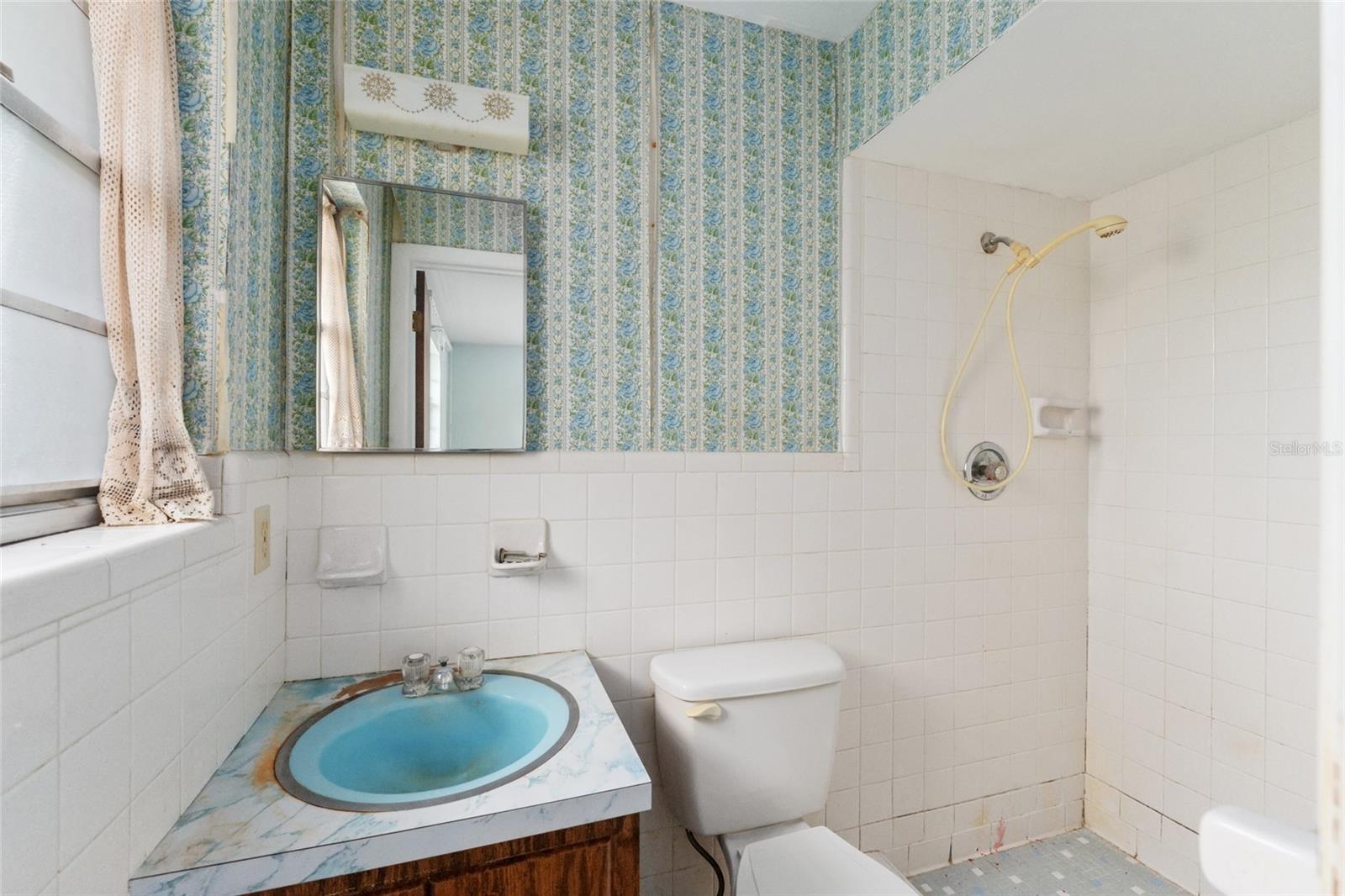 1550 MILLER BLVD, FRUITLAND PARK, FL, 34731