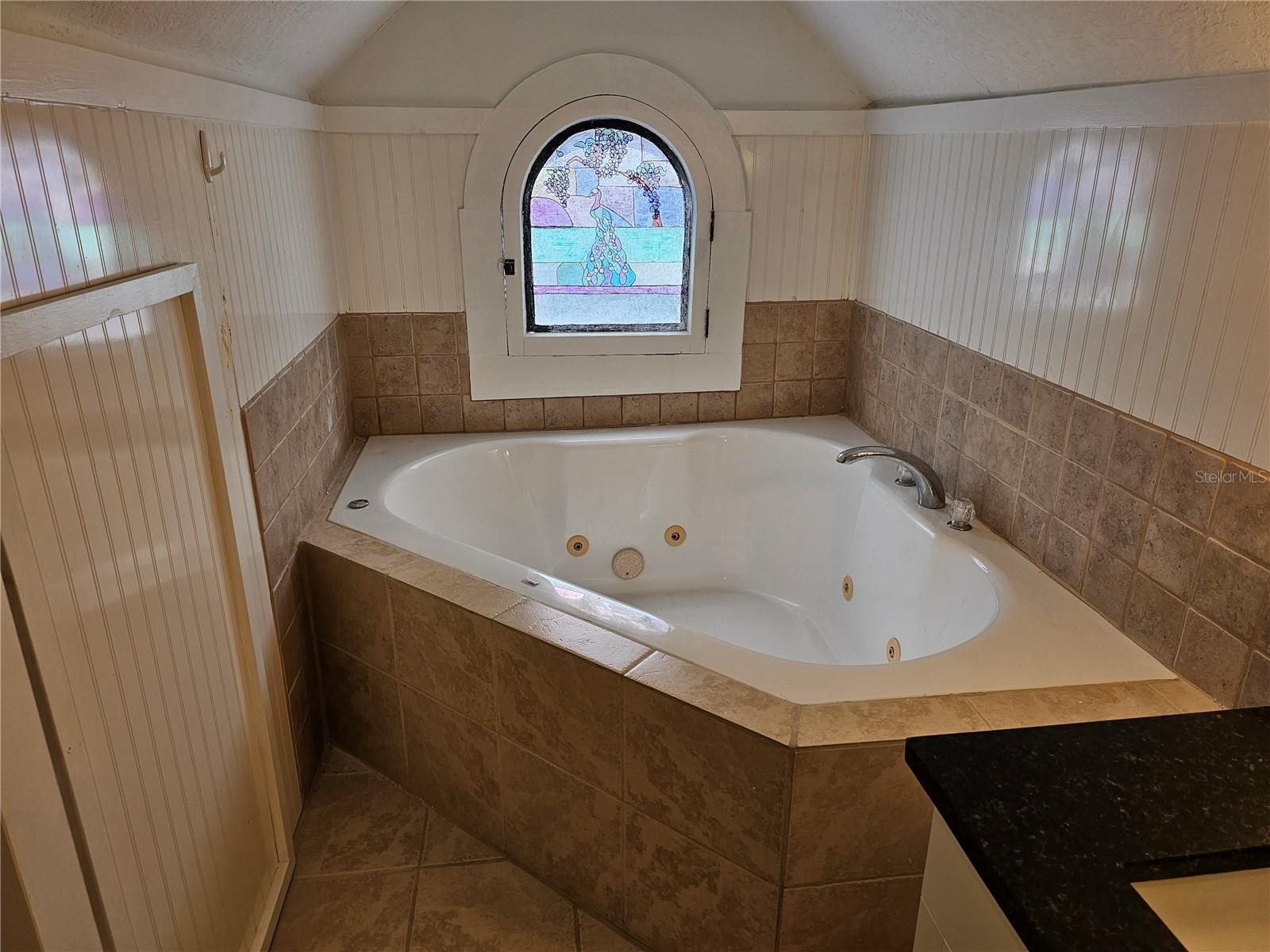 235 HYDE PARK AVE, EUSTIS, FL, 32726