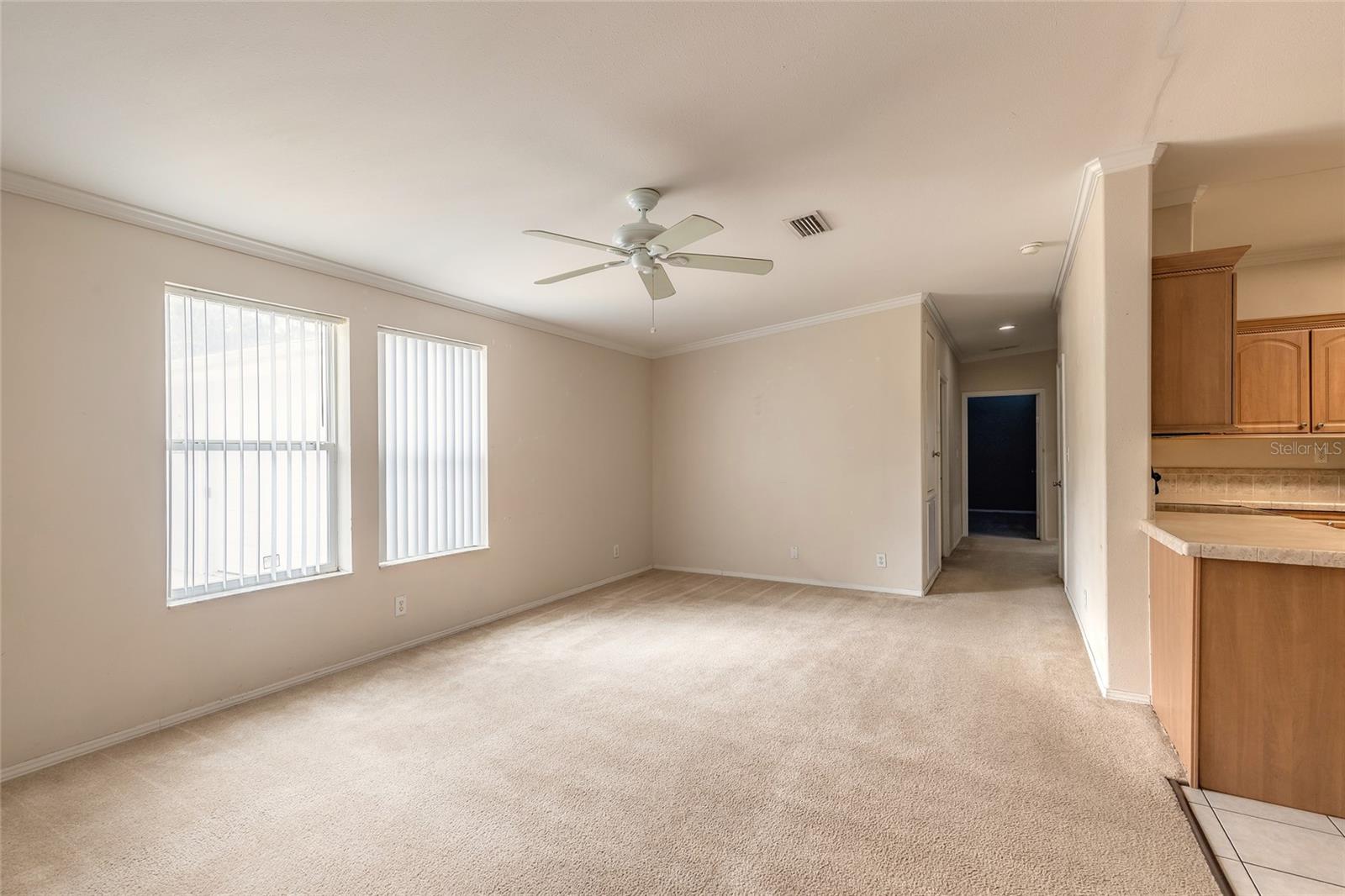 3780 JUNIPER LN, ORMOND BEACH, FL, 32174