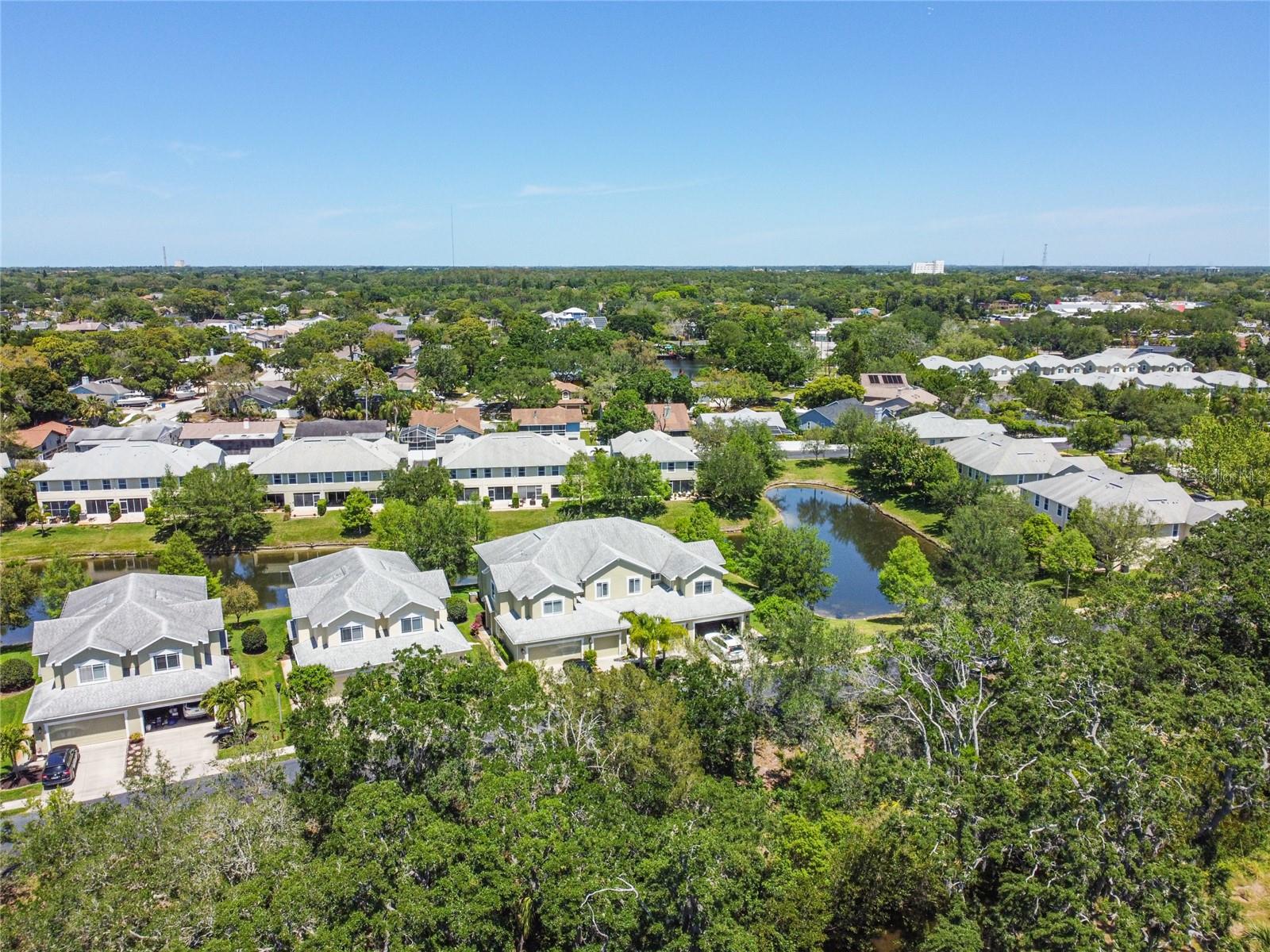 521 HARBOR RIDGE DR, PALM HARBOR, FL, 34683