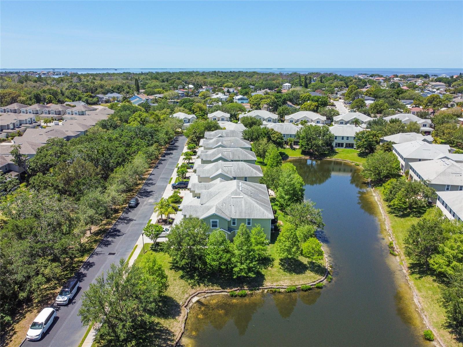 521 HARBOR RIDGE DR, PALM HARBOR, FL, 34683