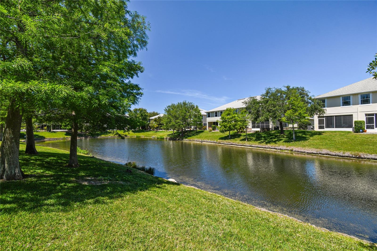 521 HARBOR RIDGE DR, PALM HARBOR, FL, 34683