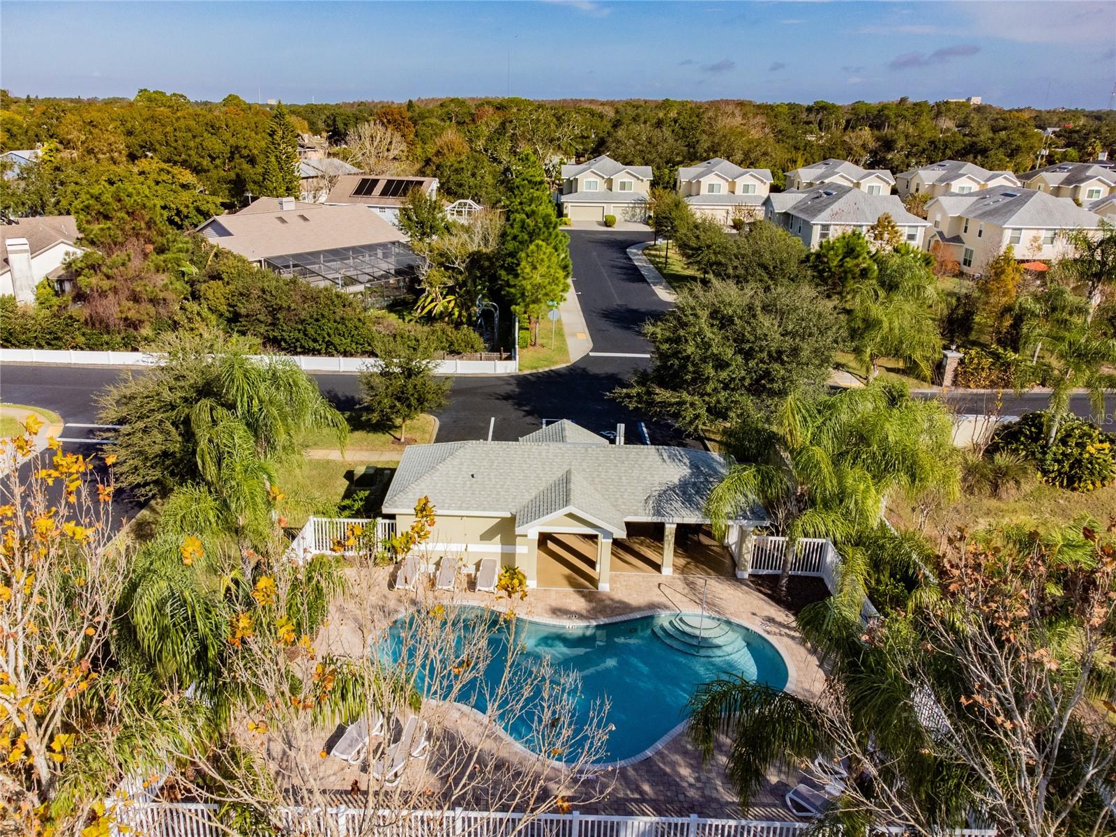 521 HARBOR RIDGE DR, PALM HARBOR, FL, 34683