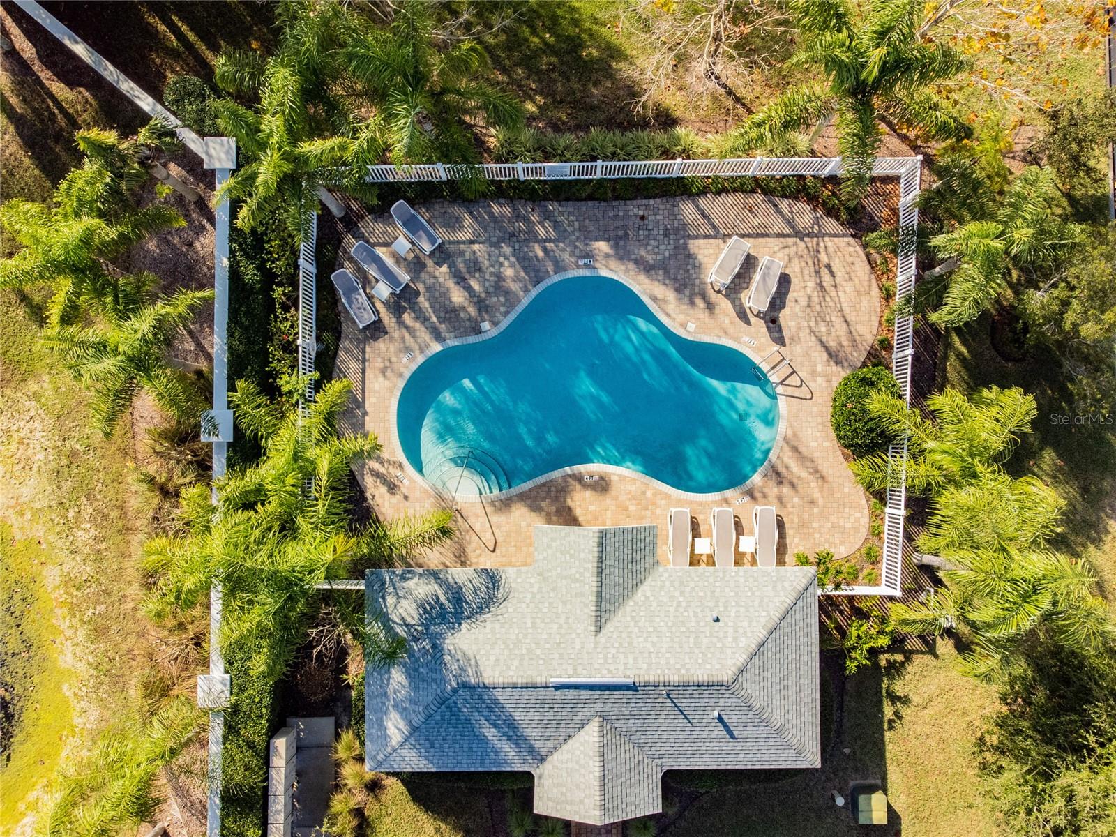 521 HARBOR RIDGE DR, PALM HARBOR, FL, 34683