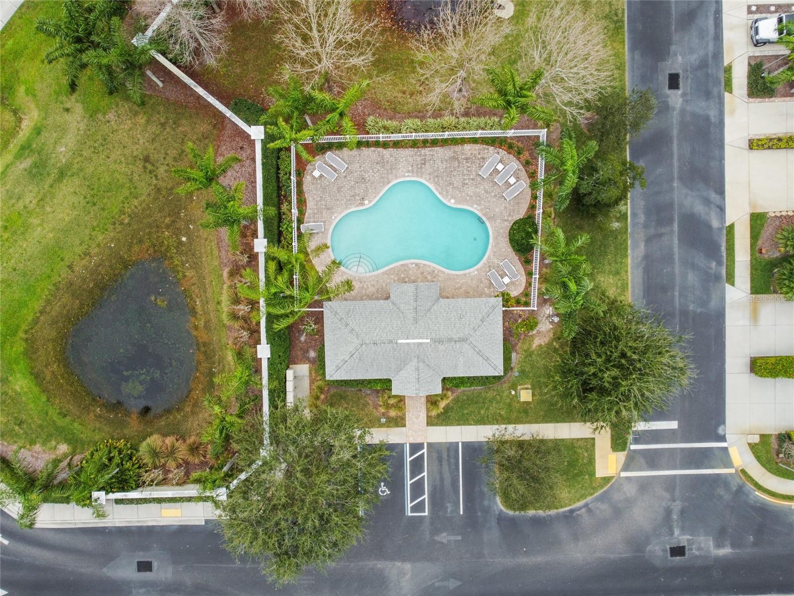 521 HARBOR RIDGE DR, PALM HARBOR, FL, 34683