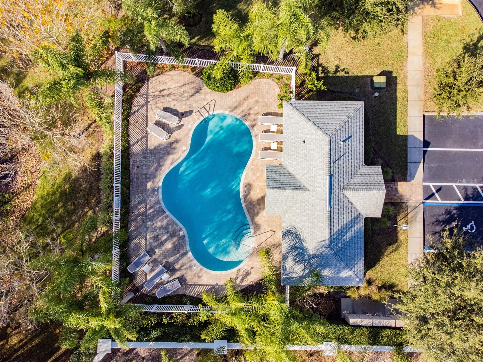 521 HARBOR RIDGE DR, PALM HARBOR, FL, 34683