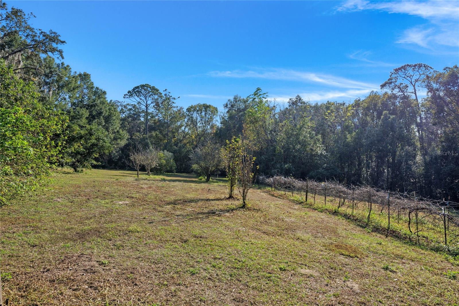 22740 COUNTY ROAD 44A, EUSTIS, FL, 32736