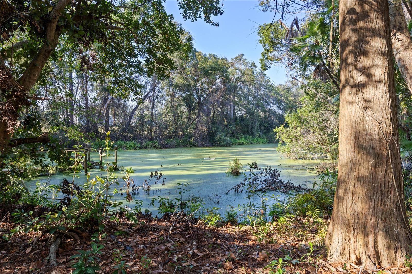 22740 COUNTY ROAD 44A, EUSTIS, FL, 32736