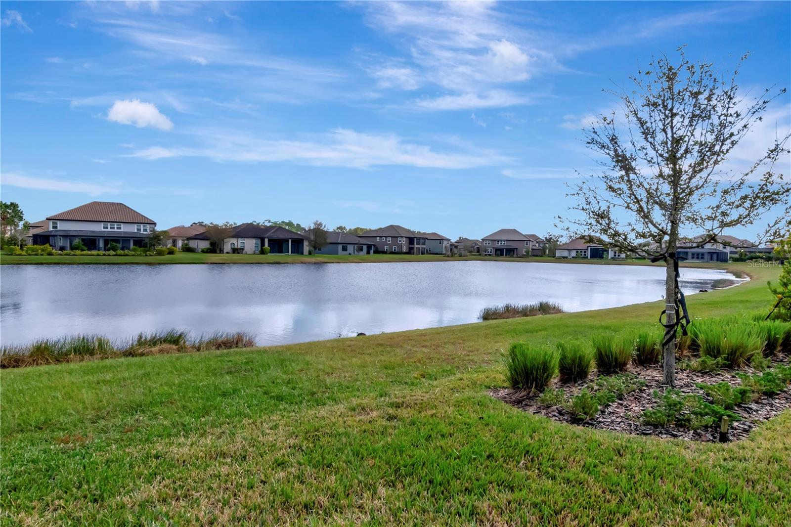 33161 KATELAND DR, WESLEY CHAPEL, FL, 33545