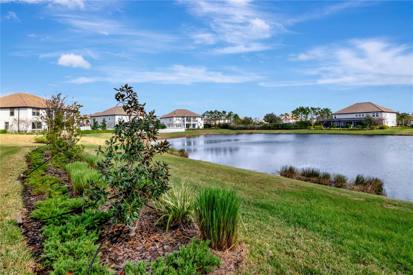 33161 KATELAND DR, WESLEY CHAPEL, FL, 33545