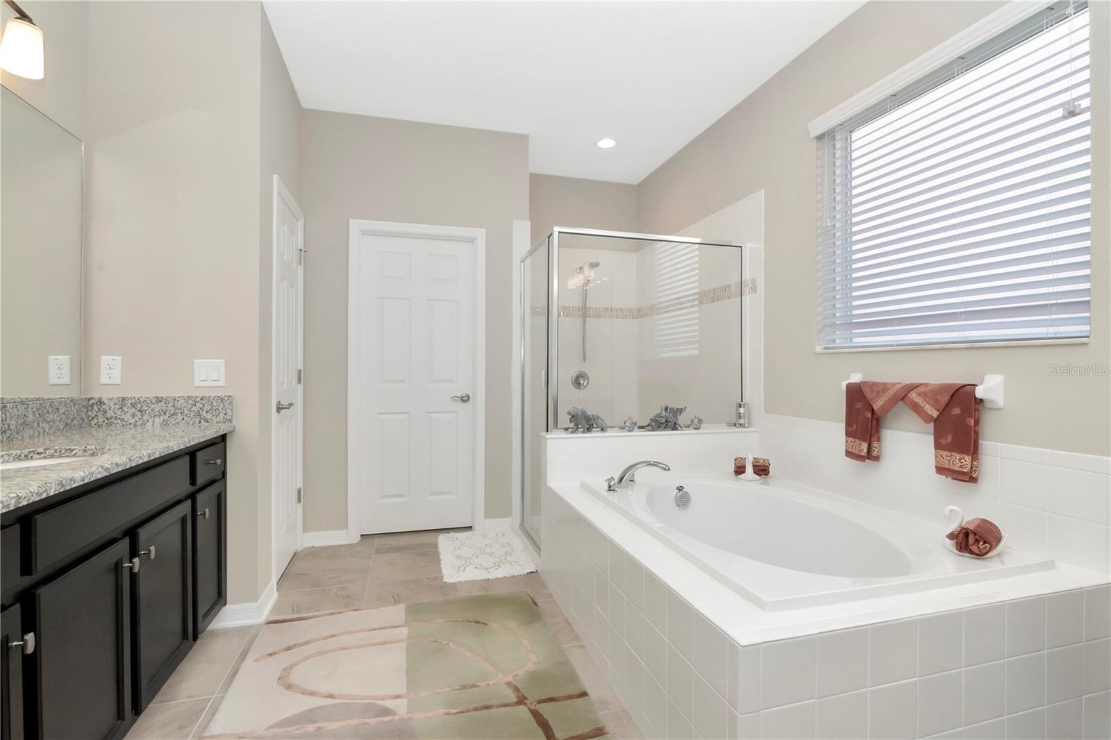 33161 KATELAND DR, WESLEY CHAPEL, FL, 33545