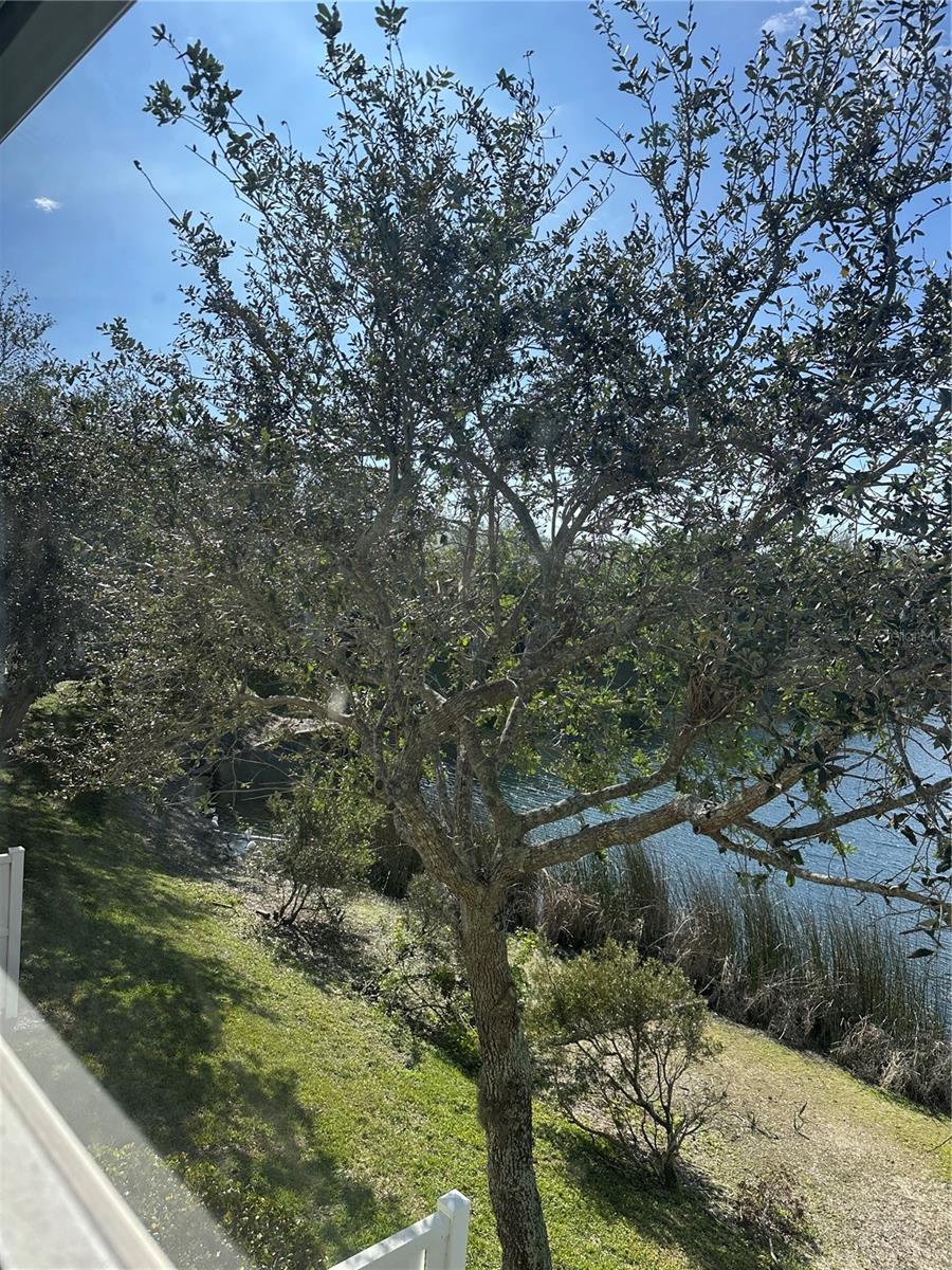 1370 MARIPOSA CIR #103, NAPLES, FL, 34105