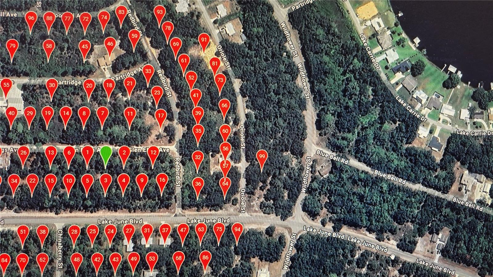 3216 GLEN SPRINGS AVE, LAKE PLACID, FL, 33852