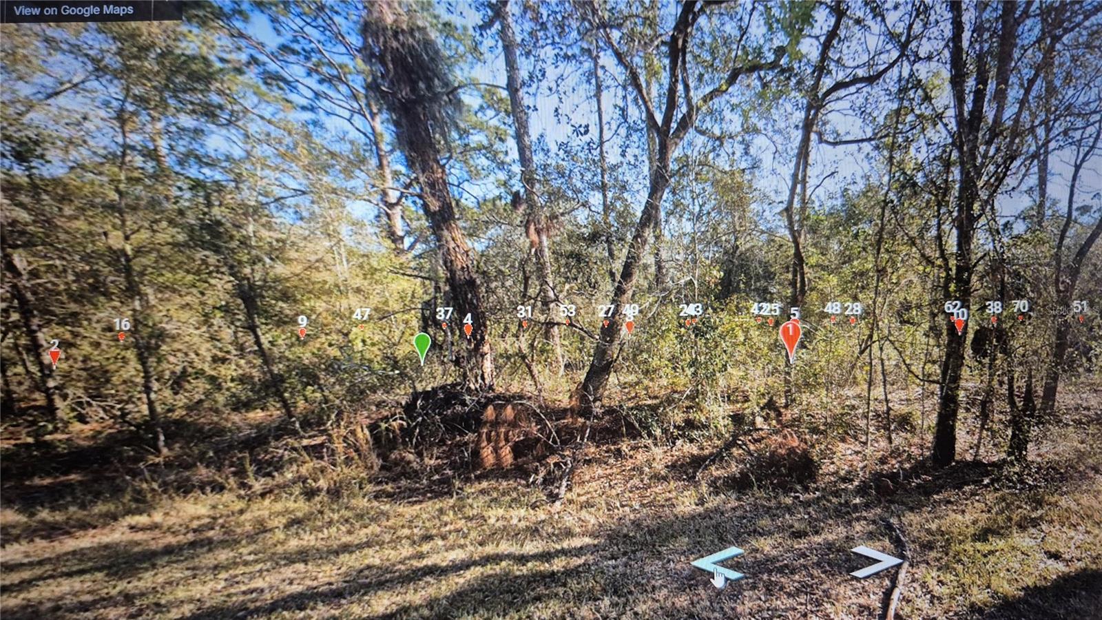 3216 GLEN SPRINGS AVE, LAKE PLACID, FL, 33852