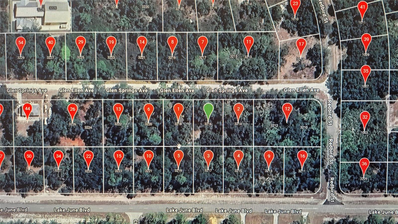 3216 GLEN SPRINGS AVE, LAKE PLACID, FL, 33852