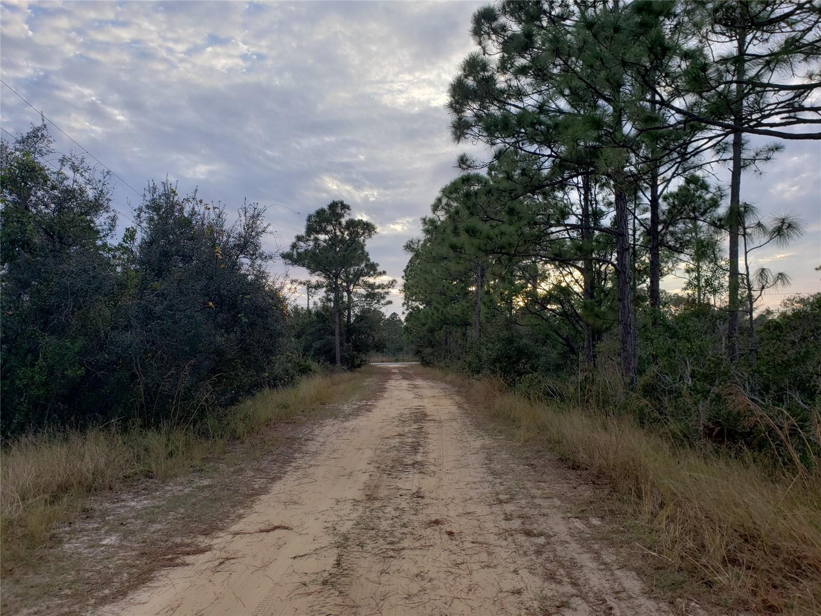 602 BOTTLEBRUSH AVE, LAKE PLACID, FL, 33852