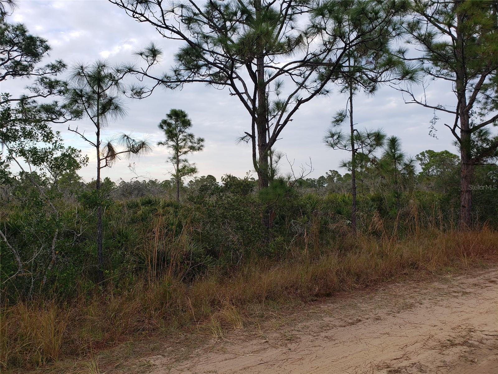 602 BOTTLEBRUSH AVE, LAKE PLACID, FL, 33852