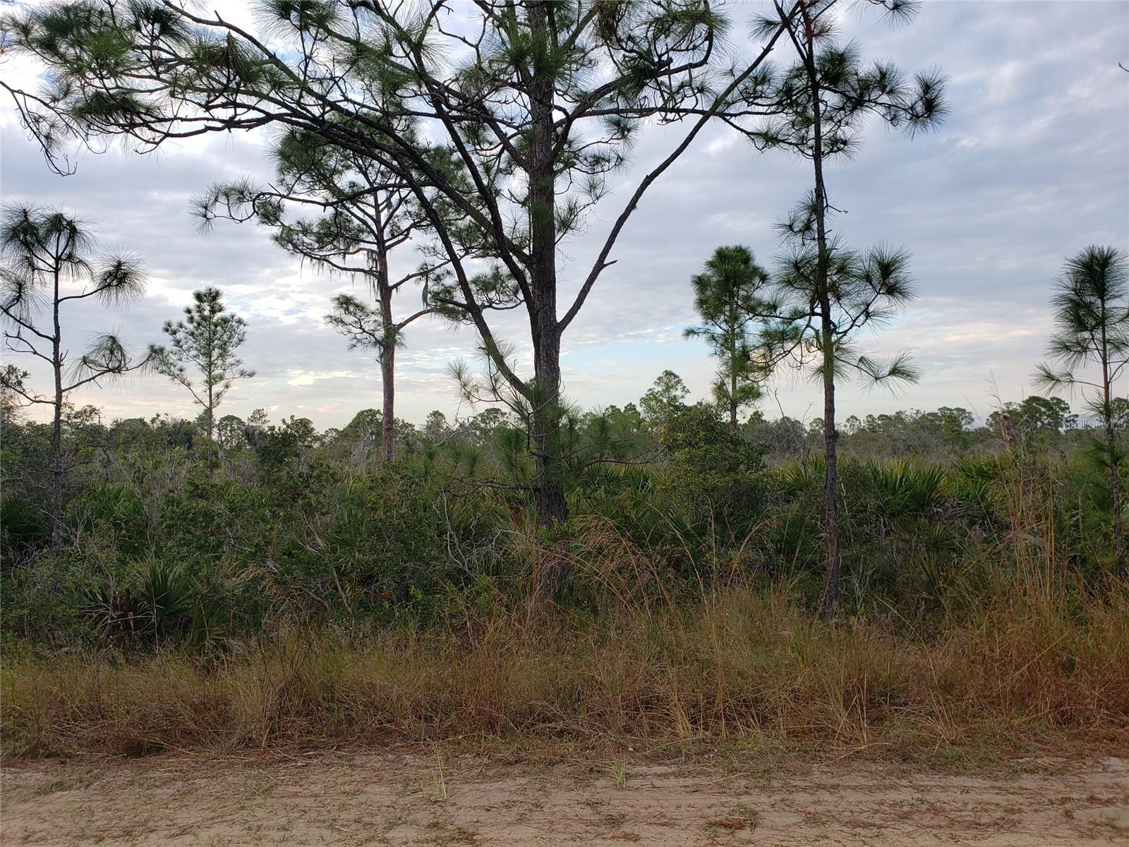 602 BOTTLEBRUSH AVE, LAKE PLACID, FL, 33852