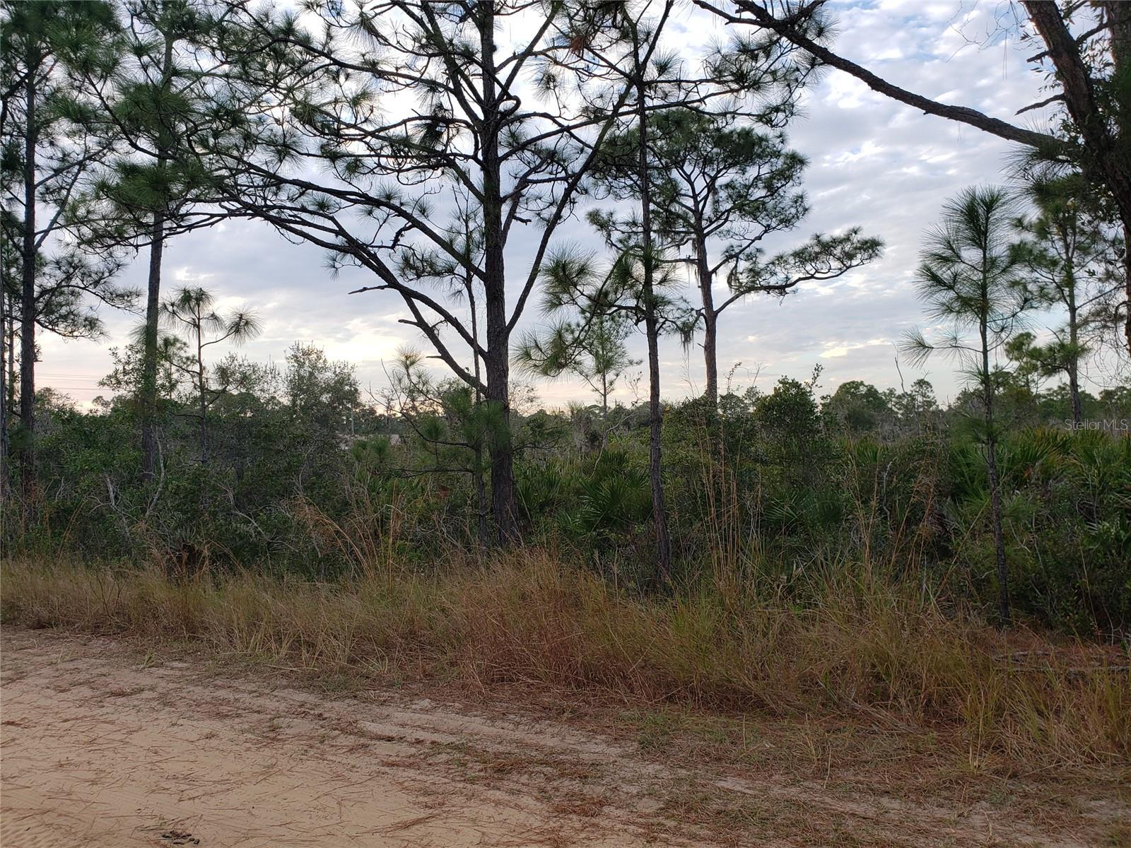 602 BOTTLEBRUSH AVE, LAKE PLACID, FL, 33852