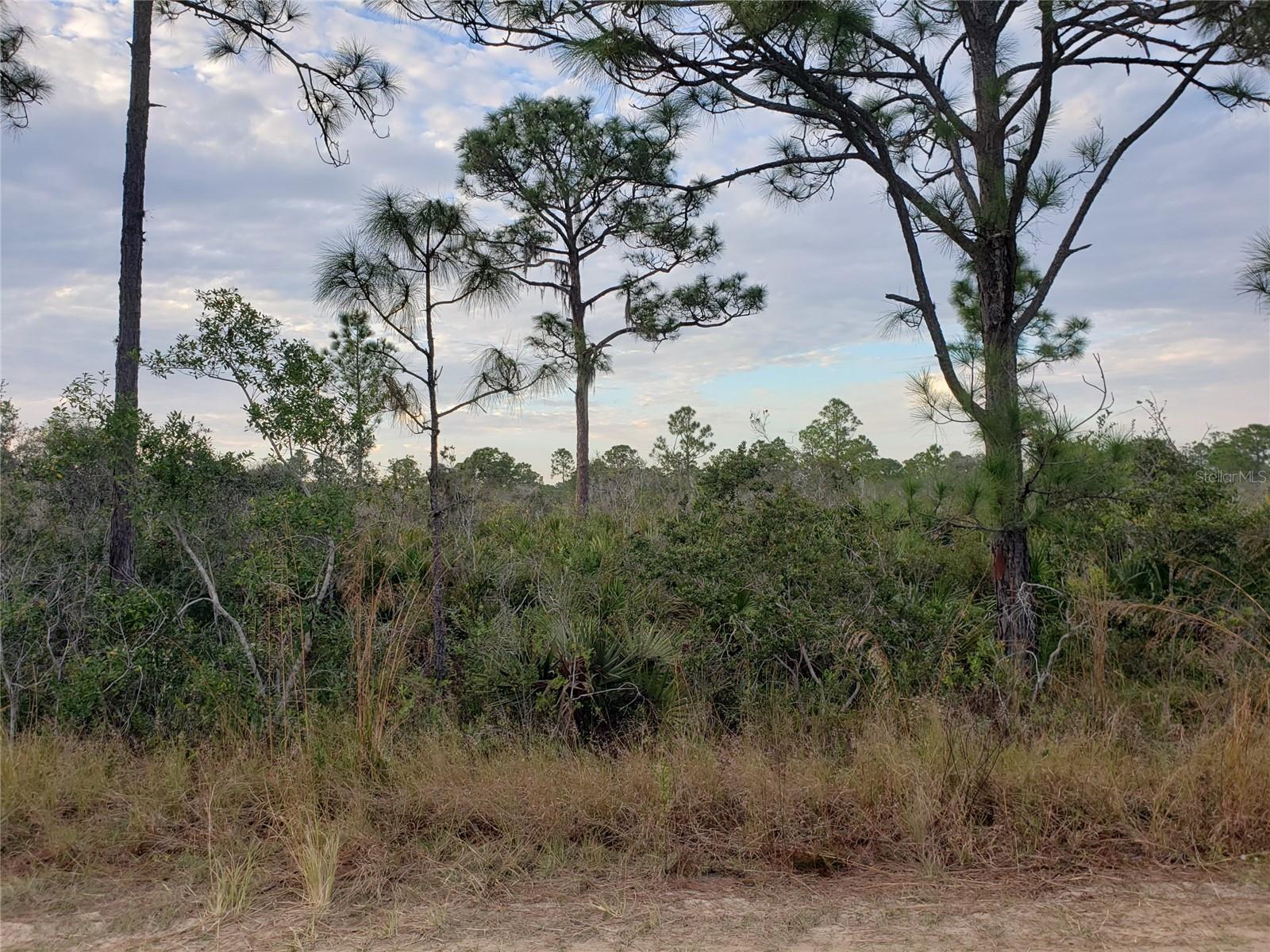 602 BOTTLEBRUSH AVE, LAKE PLACID, FL, 33852