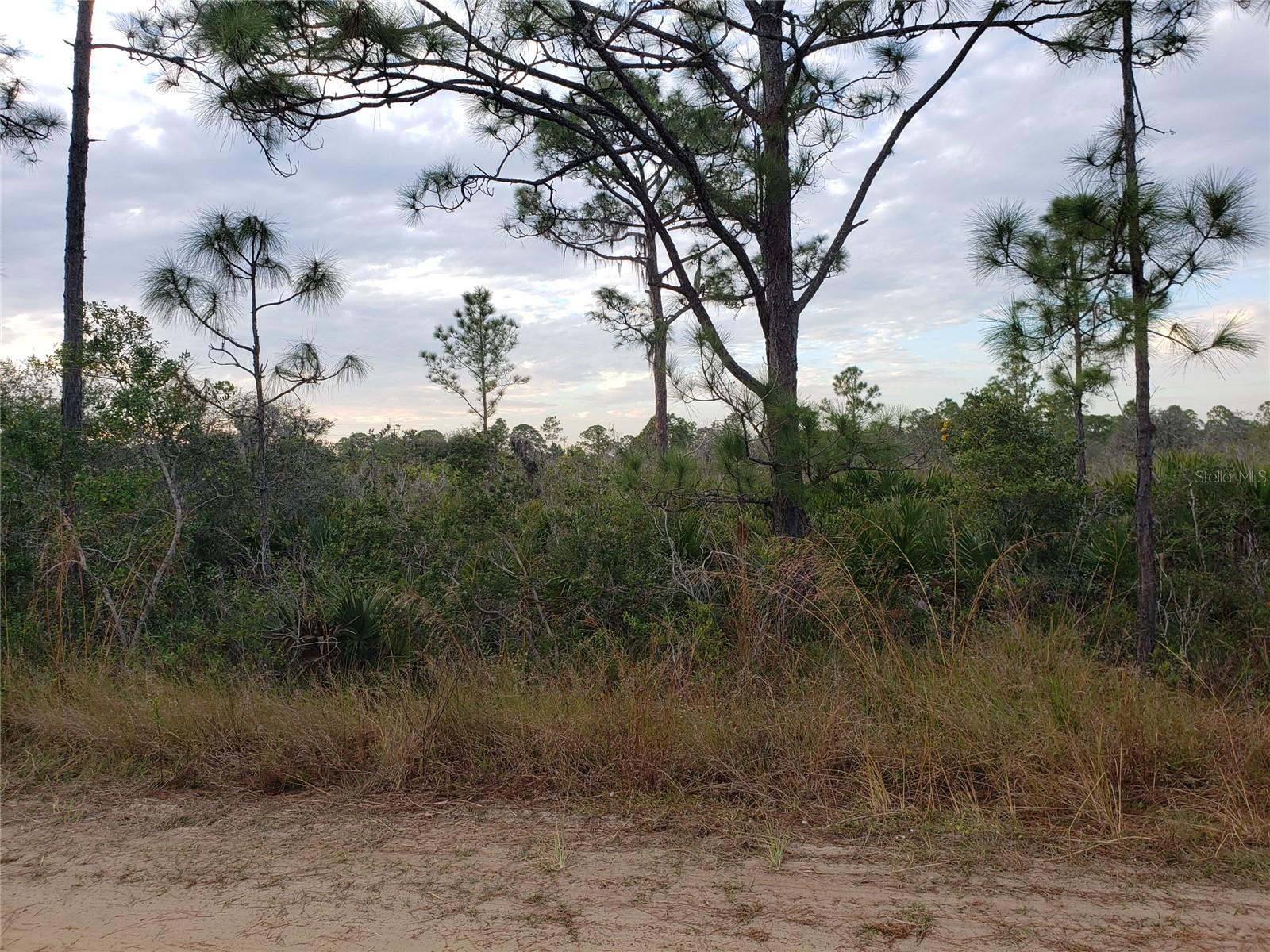 602 BOTTLEBRUSH AVE, LAKE PLACID, FL, 33852