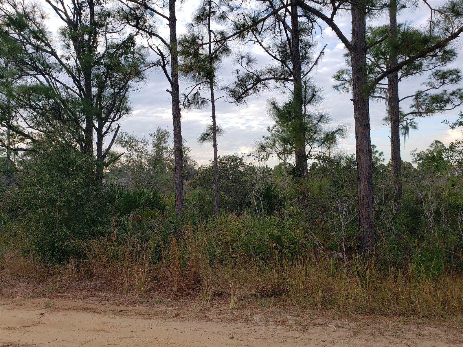 602 BOTTLEBRUSH AVE, LAKE PLACID, FL, 33852
