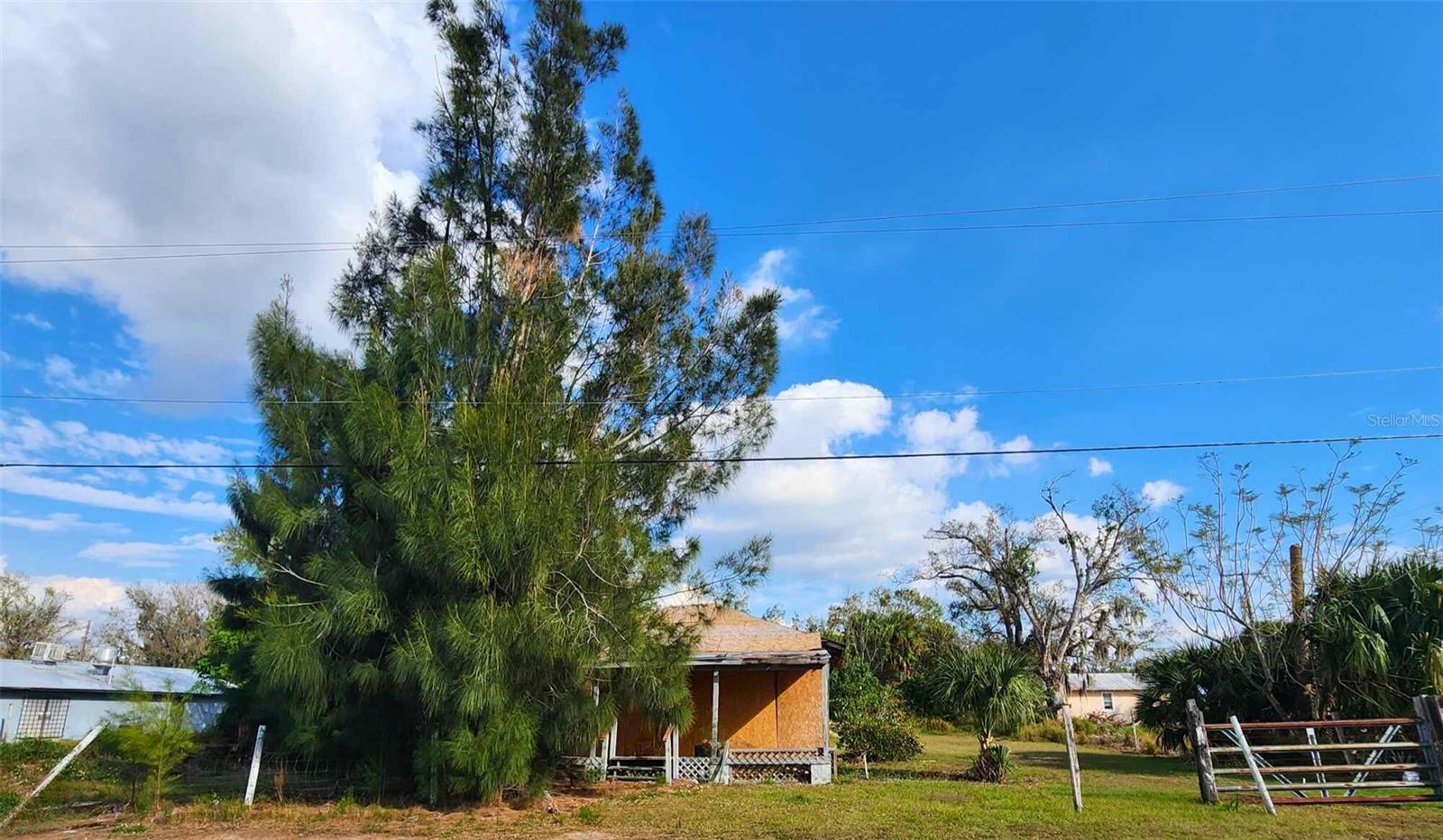 317 ALABAMA AVE, ARCADIA, FL, 34266