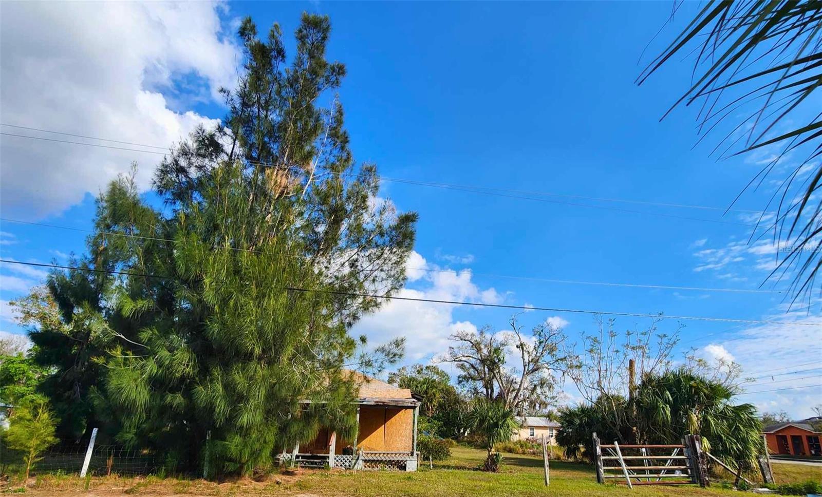 317 ALABAMA AVE, ARCADIA, FL, 34266