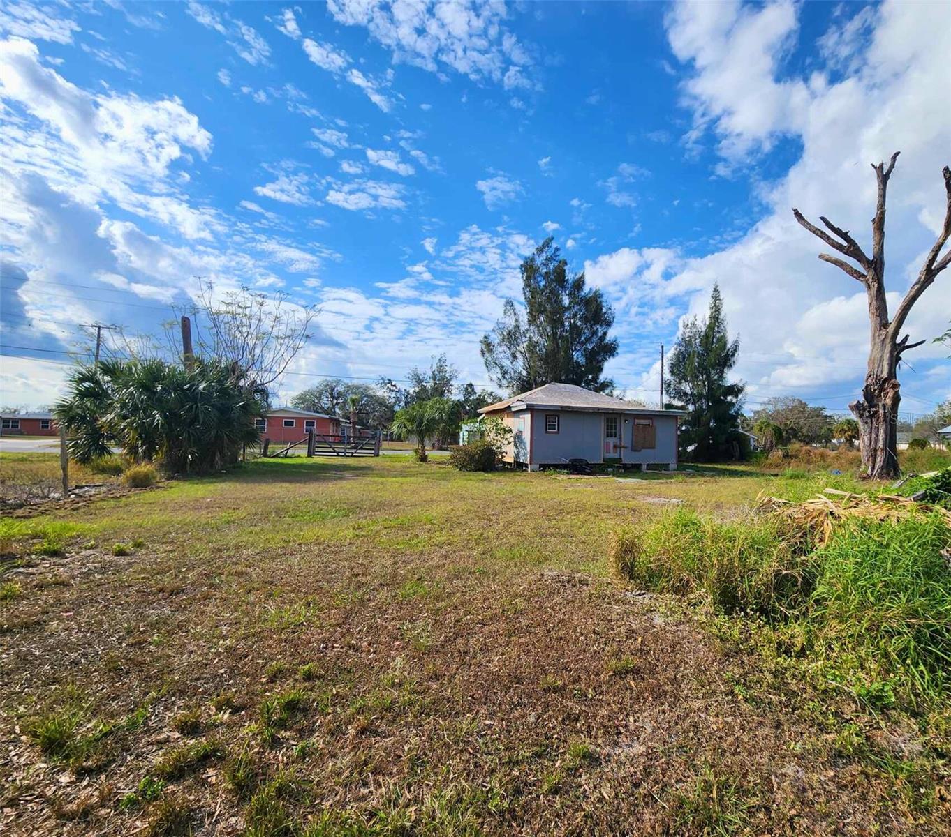 317 ALABAMA AVE, ARCADIA, FL, 34266
