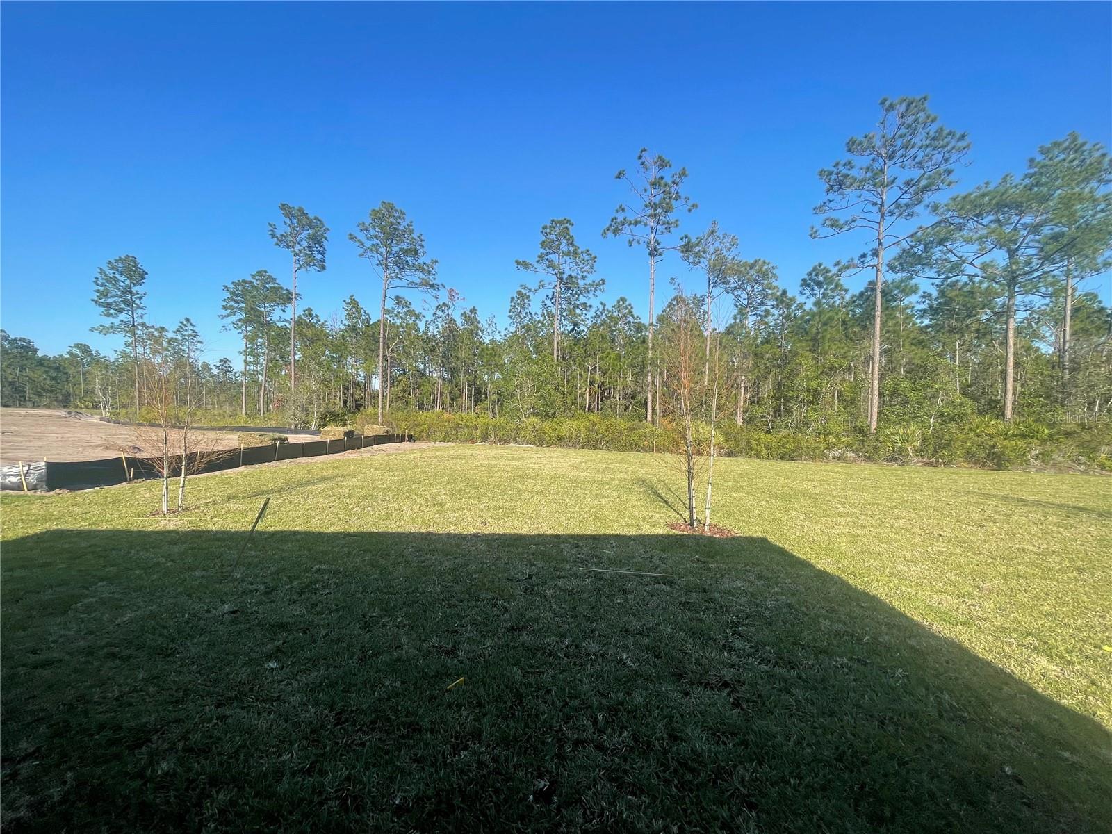 298 MONTGOMERY CT, PALM COAST, FL, 32164