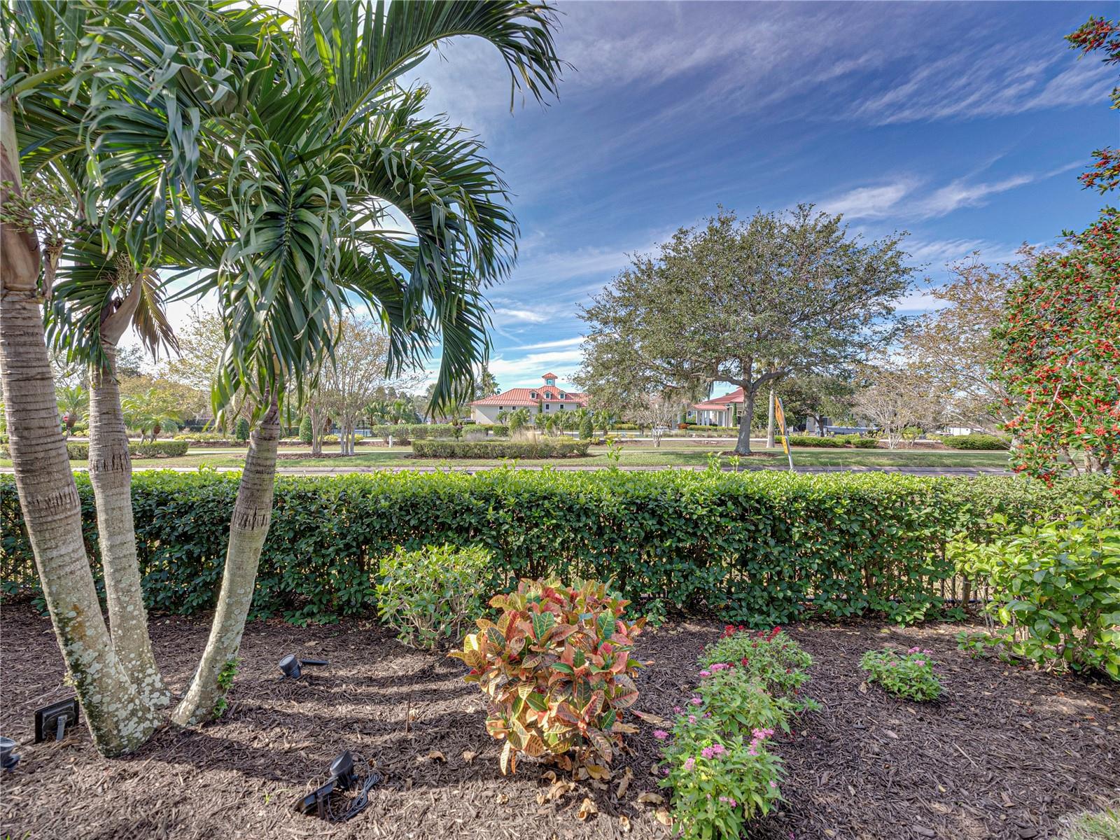 251 BLAZING STAR AVE, LAKE ALFRED, FL, 33850
