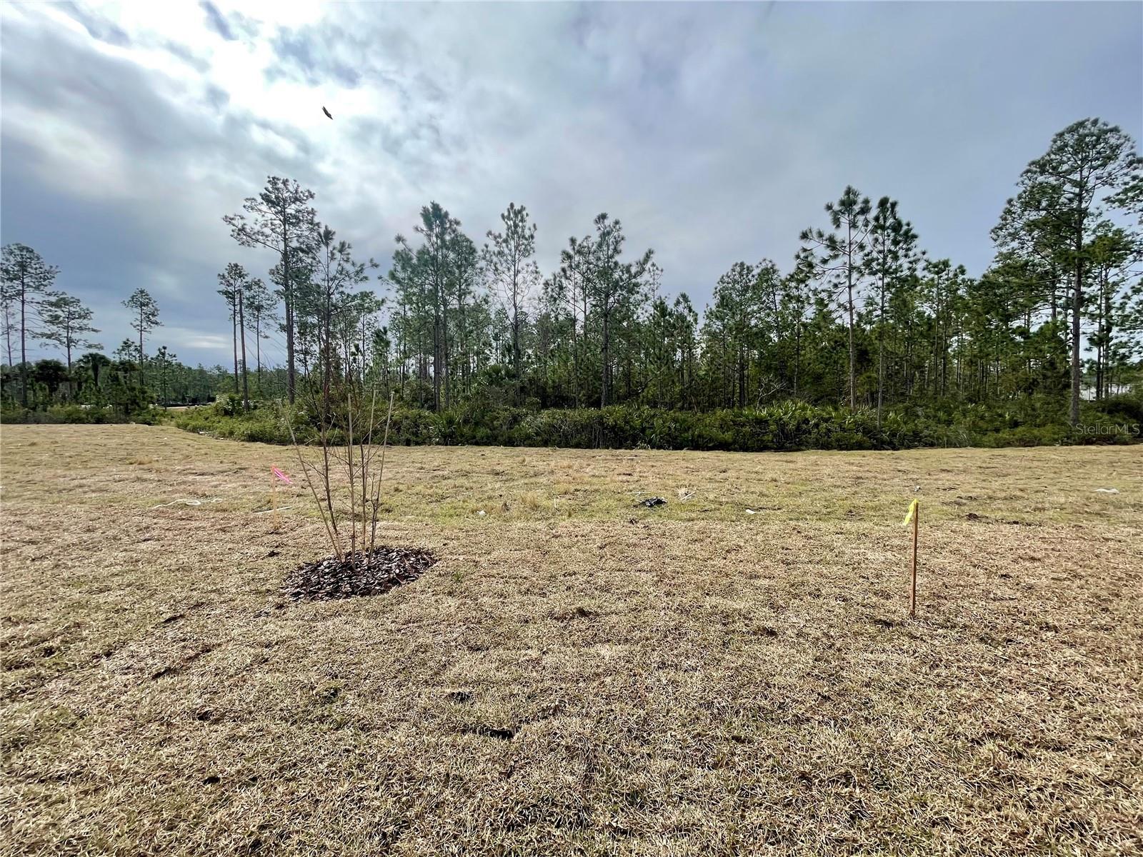 217 MONTGOMERY CT, PALM COAST, FL, 32164