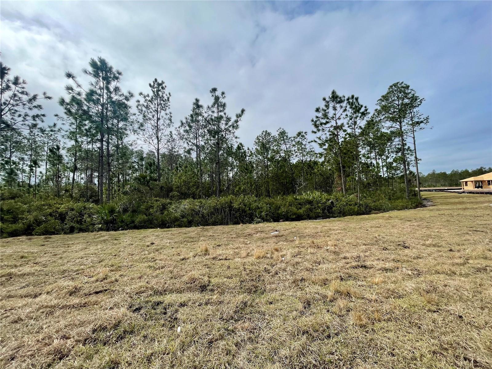 217 MONTGOMERY CT, PALM COAST, FL, 32164