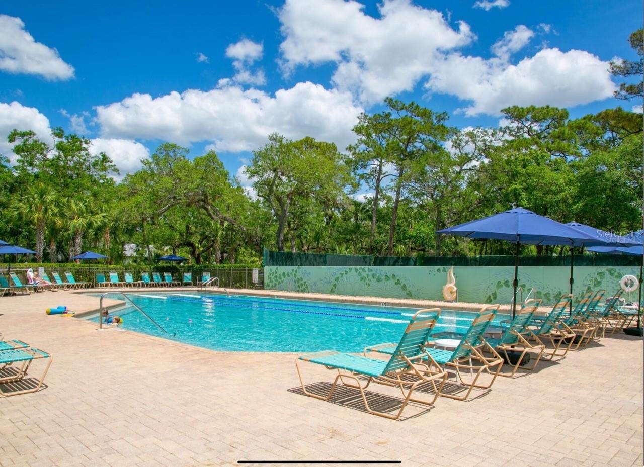 5535 HAMPSTEAD HEATH #45, SARASOTA, FL, 34235