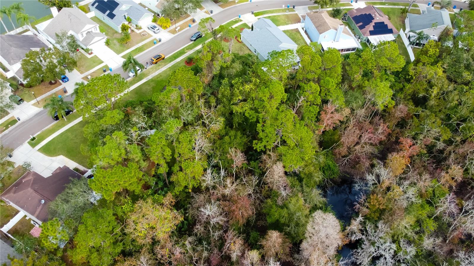 9702 FREDERICKSBURG RD, TAMPA, FL, 33635