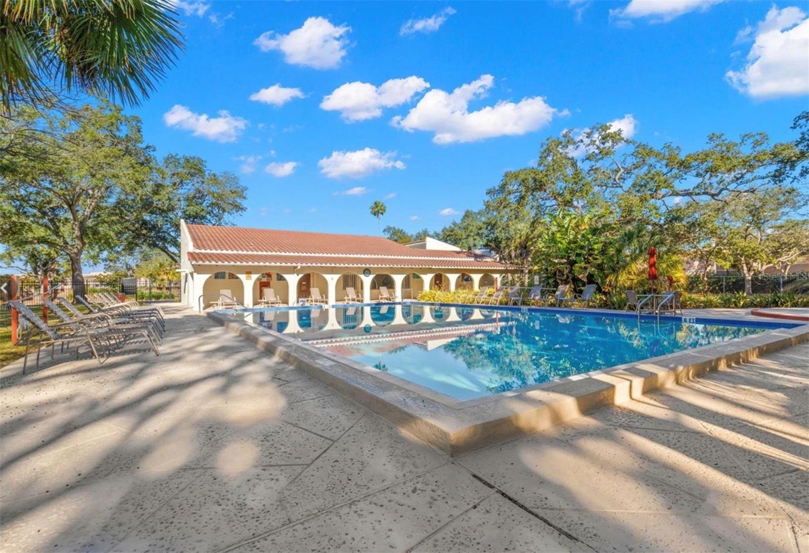 2650 PEARCE DR #407, CLEARWATER, FL, 33764